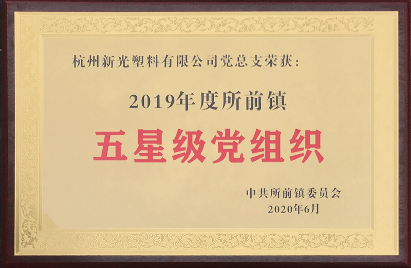 1594189711651087.jpg 2020.6新光公司 獲五星級黨組織(1)_副本.jpg