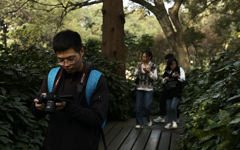 1605172207129477.jpg 張全3_副本.jpg