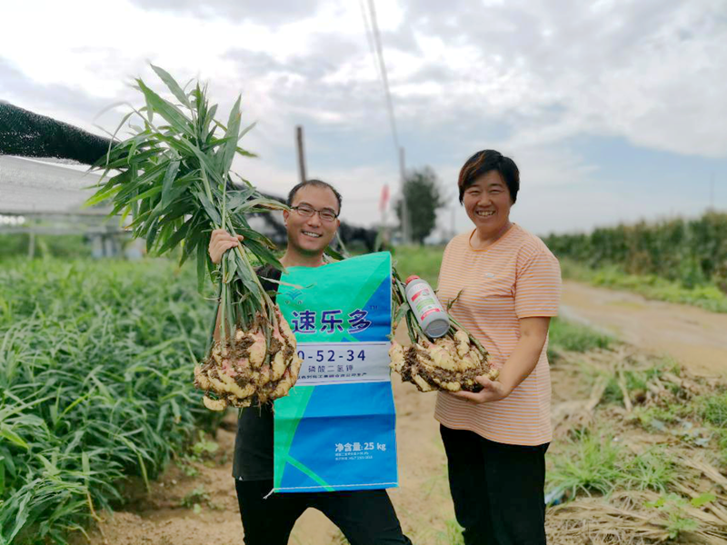 1608549306342591.png 圖片2_副本.png