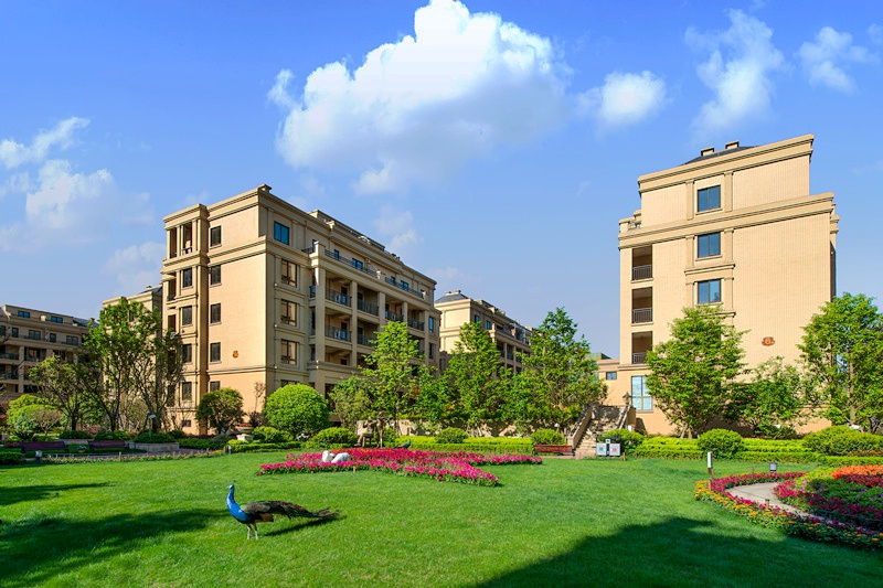 1612840358334898.jpg KK8_6593_副本_副本.jpg