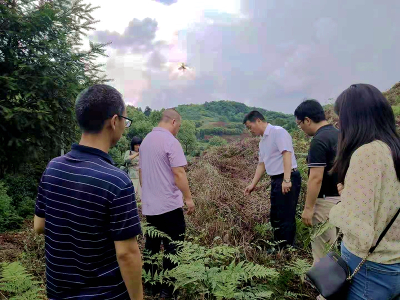 1624000448262284.jpg pic_副本.jpg