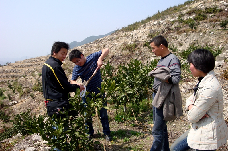 1635320350342273.jpg 測土配方施肥技術(shù)_副本.jpg