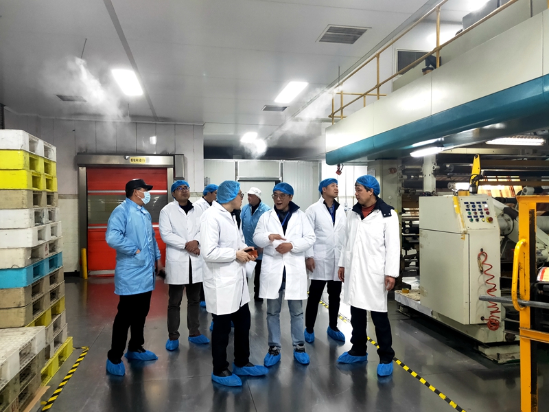 興合集團領導到新光公司、浙農東巢藝術公園開展安全調研