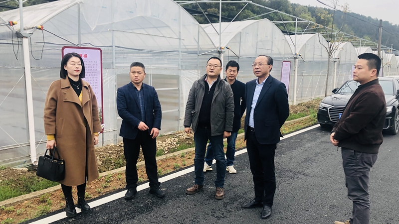 集團黨委赴衢州區(qū)域&ldquo;走基層調(diào)查研究&rdquo;