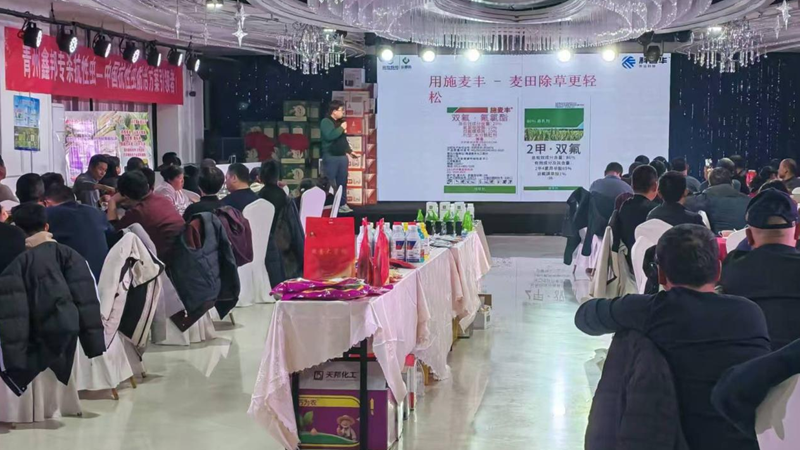 山東浙農(nóng)晟通舉辦&ldquo;施麥豐&rdquo;市場啟動會